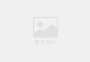 雪铁戈复合锂基润滑脂